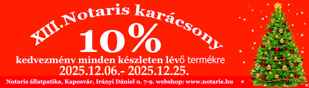 XIII. Notaris karácsony